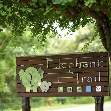 Elephant Trail Udawalawe Exteriör bild