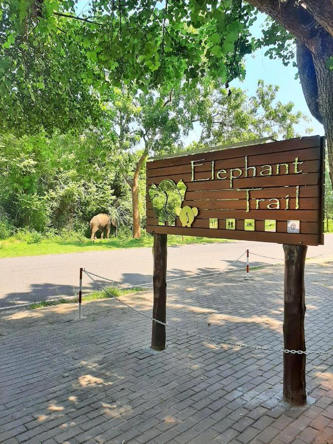 Elephant Trail Udawalawe Exteriör bild