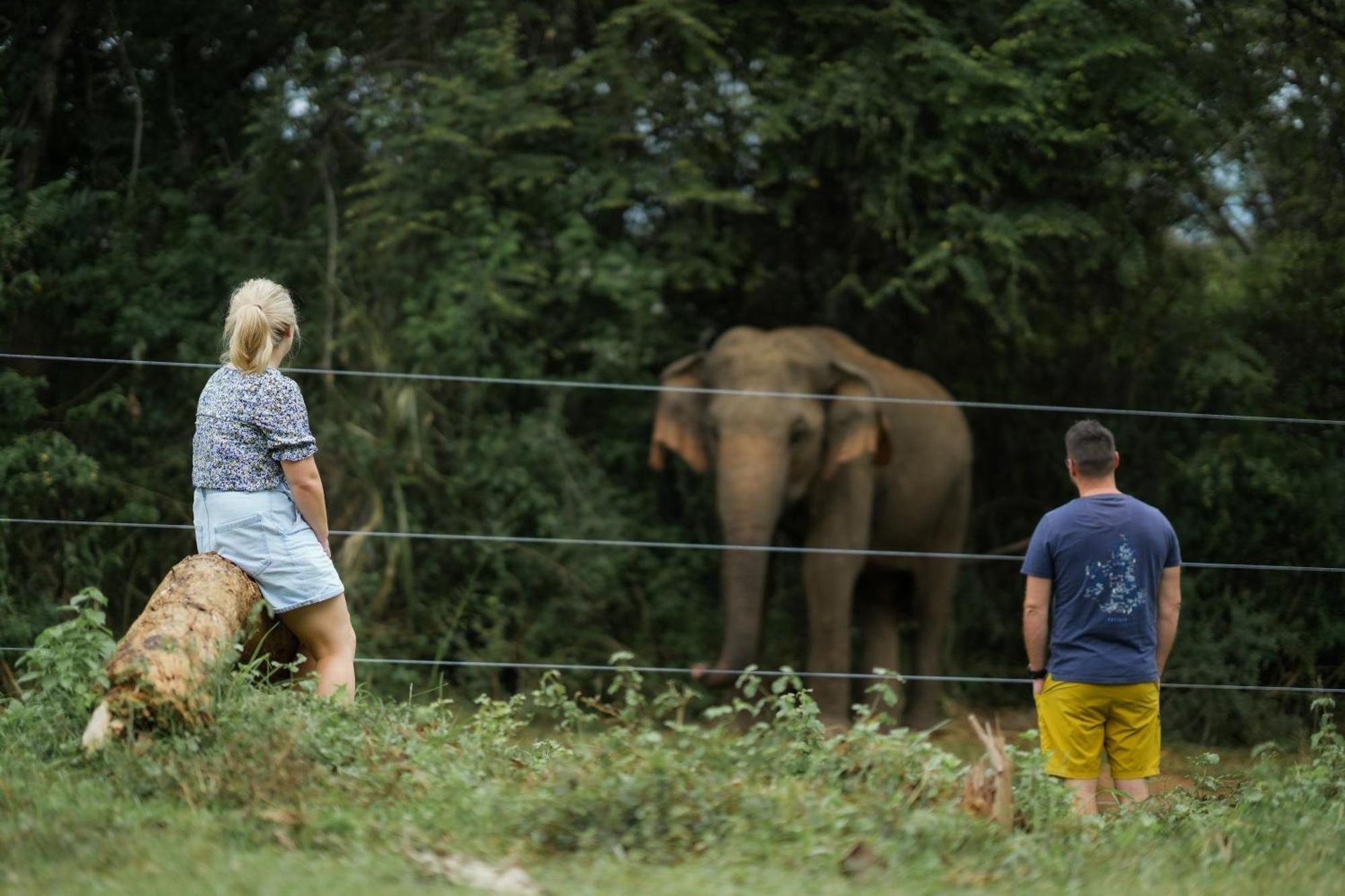 Elephant Trail Udawalawe Exteriör bild