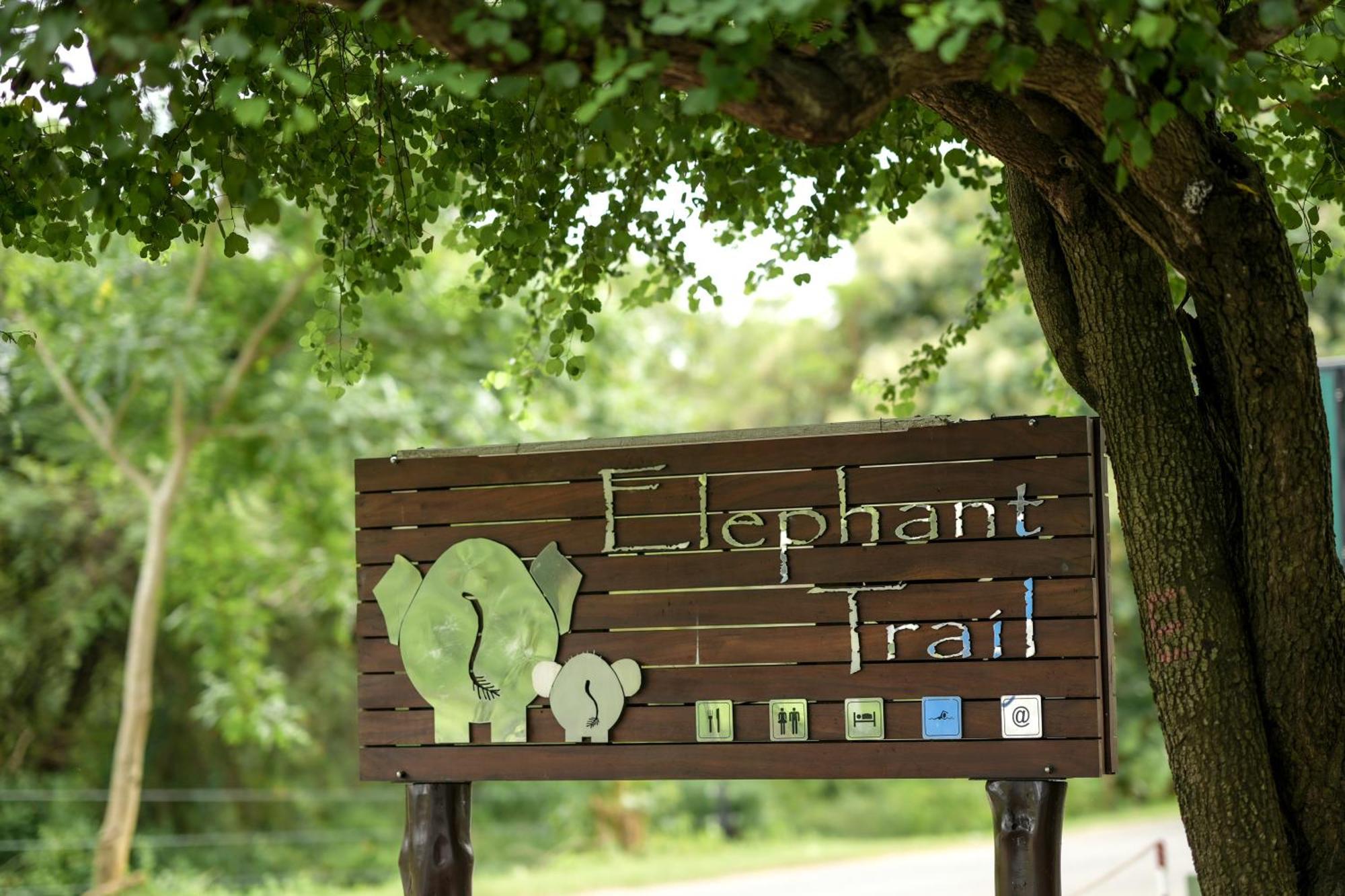 Elephant Trail Udawalawe Exteriör bild